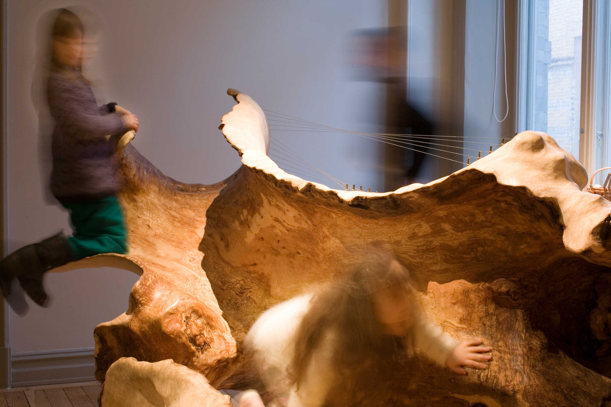 Resonant Bodies av Julia Adzuki