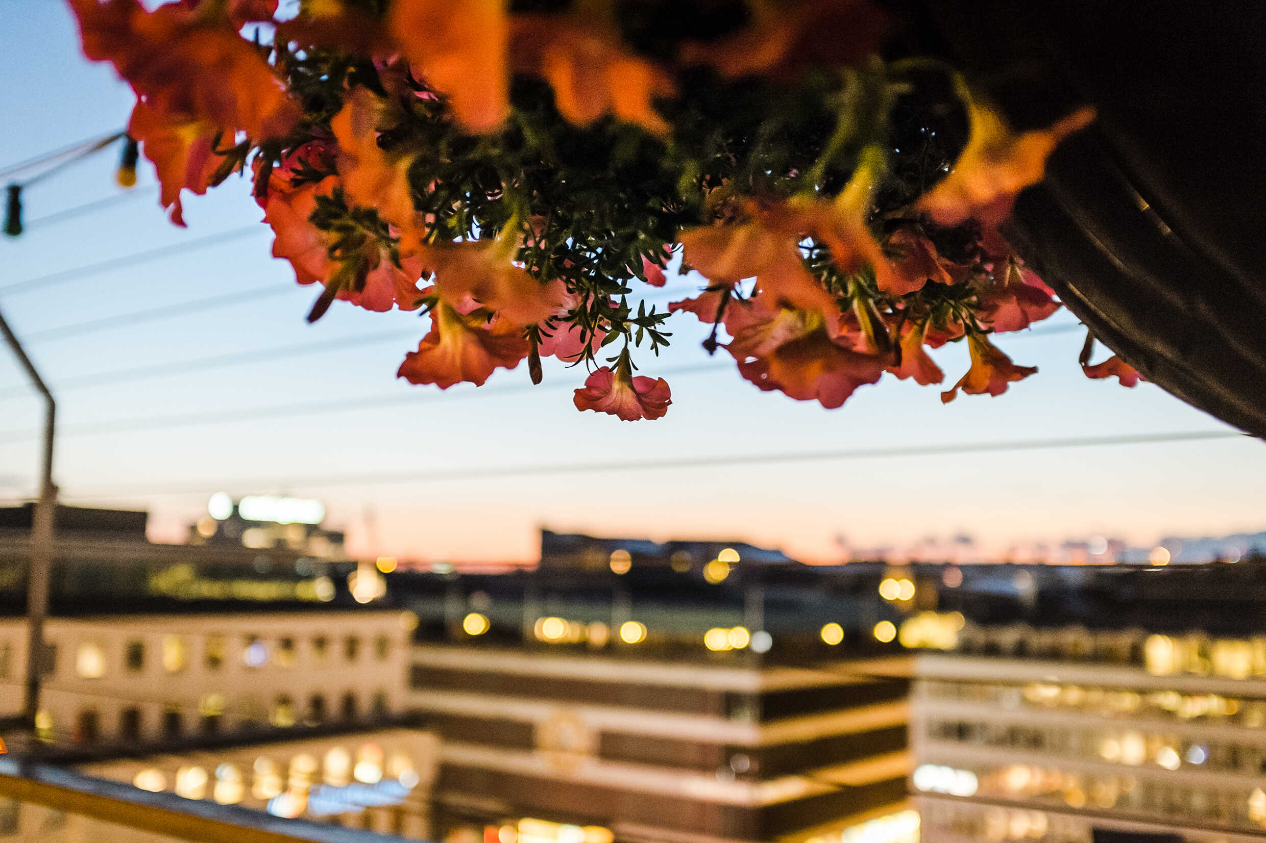 Kulturhusets Stadsteaterns takterass - öppnar 1 juni